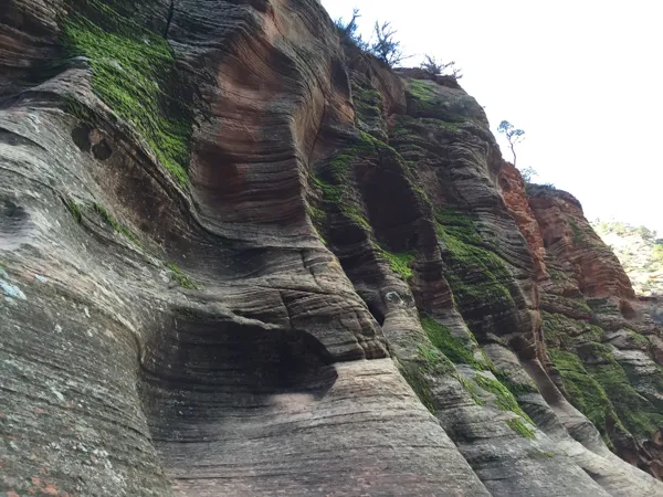 Zion National Park photo 164
