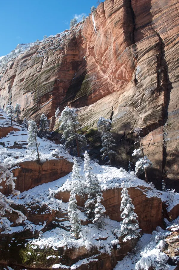 Zion National Park photo 165
