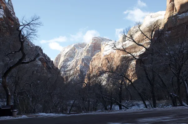 Zion National Park photo 168