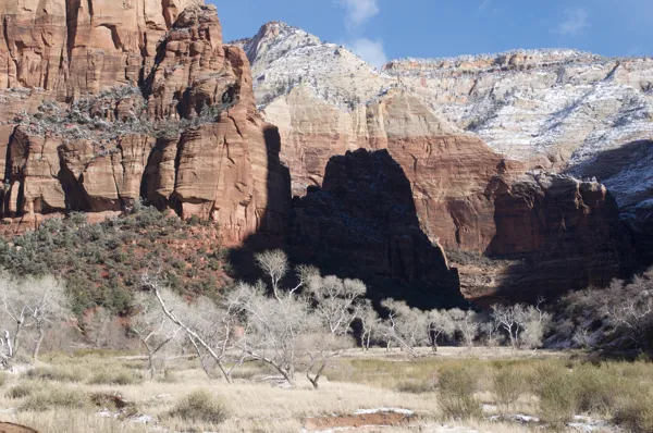 Zion National Park photo 169