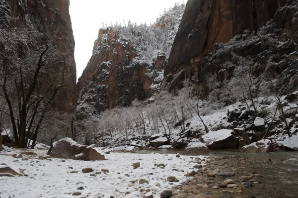 Zion National Park photo 170