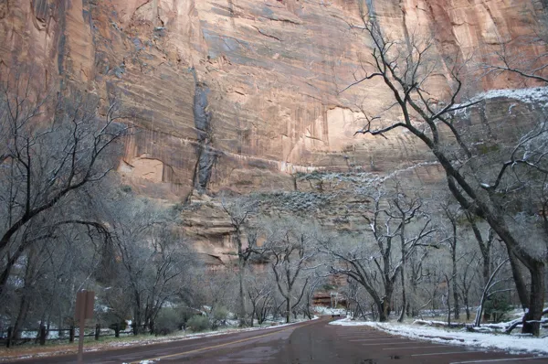 Zion National Park photo 171