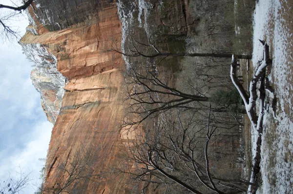 Zion National Park photo 172
