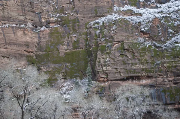 Zion National Park photo 173