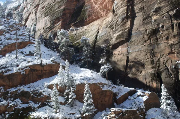 Zion National Park photo 174