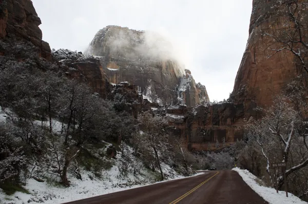 Zion National Park photo 176