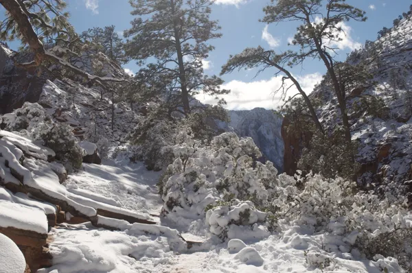 Zion National Park photo 178