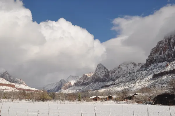 Zion National Park photo 183