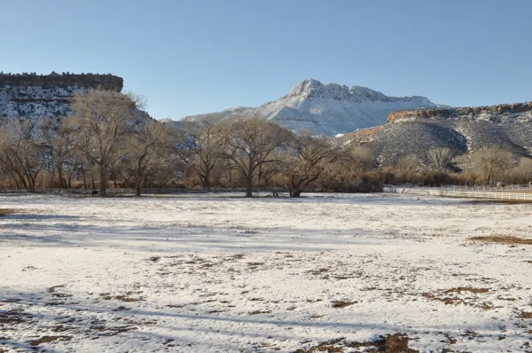 Zion National Park photo 185
