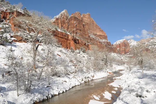 Zion National Park photo 186
