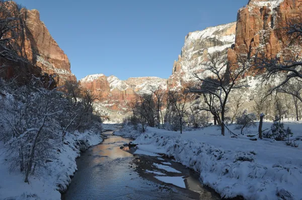 Zion National Park photo 189