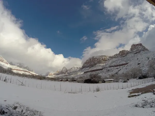 Zion National Park photo 195