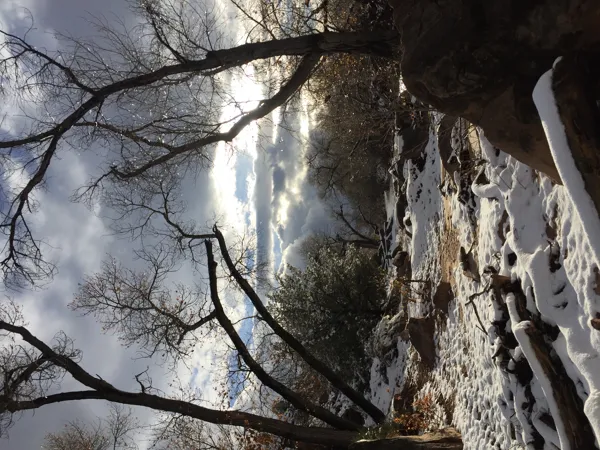 Zion National Park photo 199