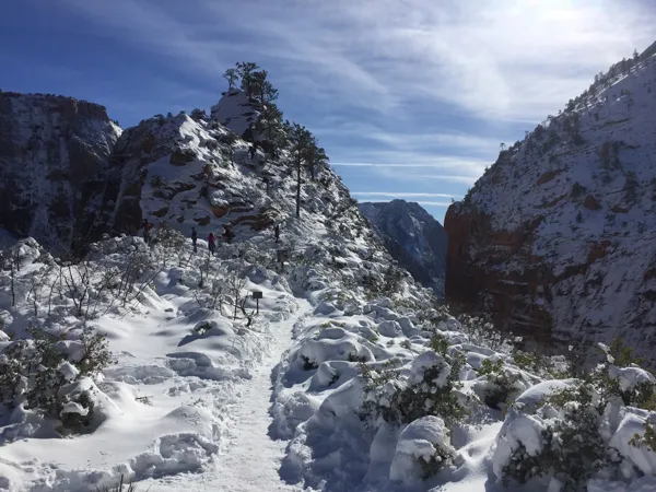 Zion National Park photo 201