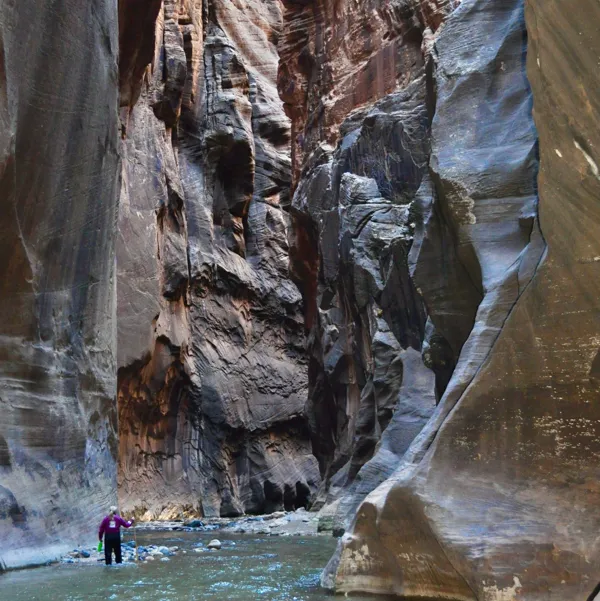 Zion National Park photo 208