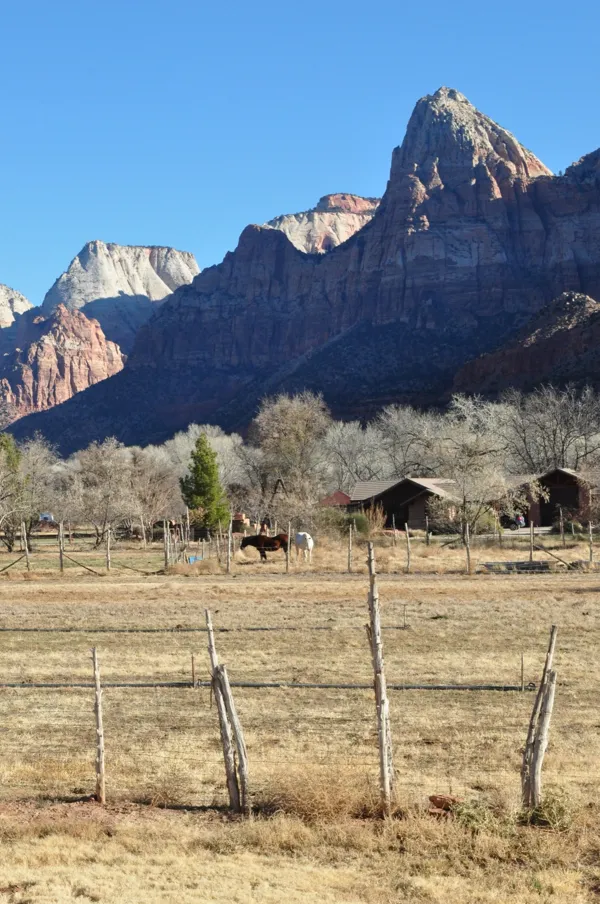 Zion National Park photo 212