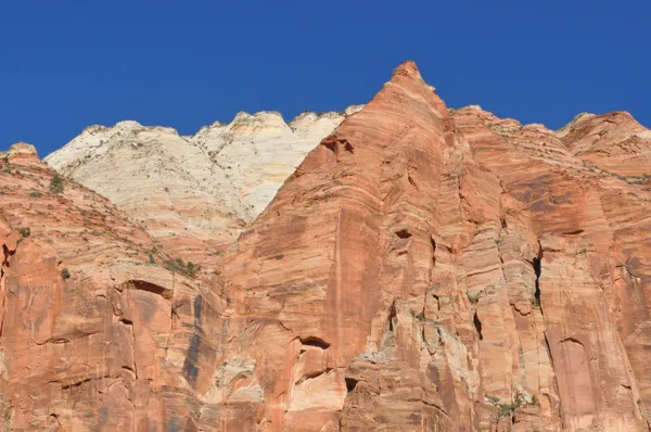 Zion National Park photo 215