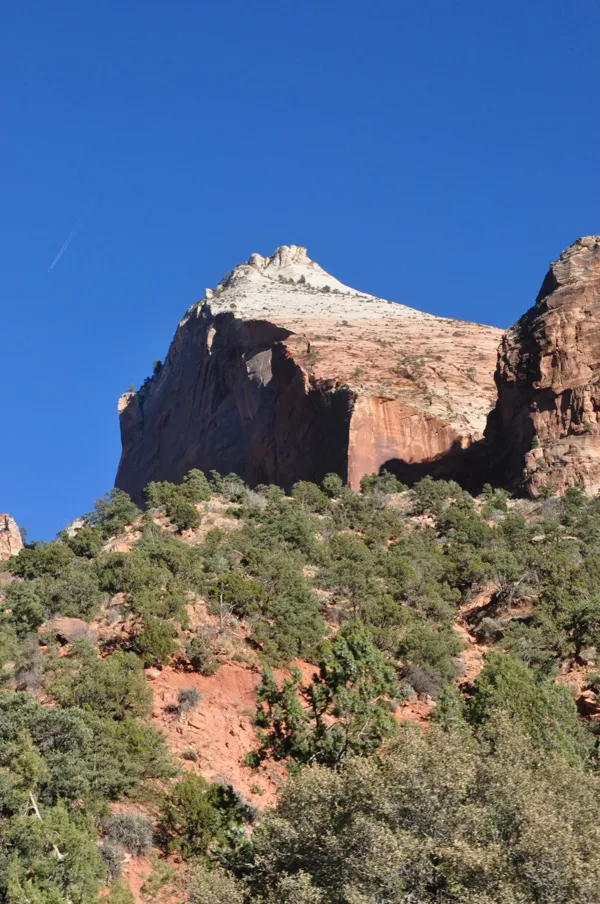 Zion National Park photo 216