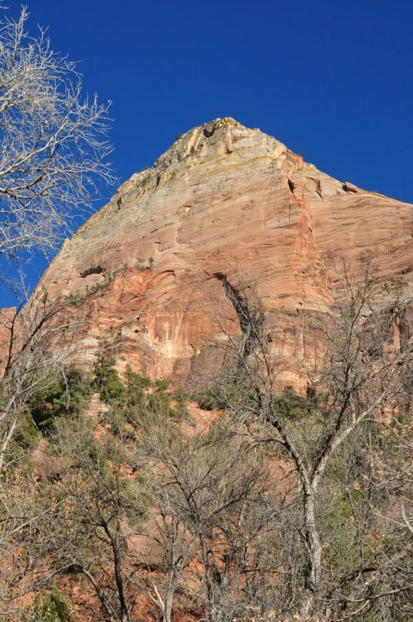 Zion National Park photo 218