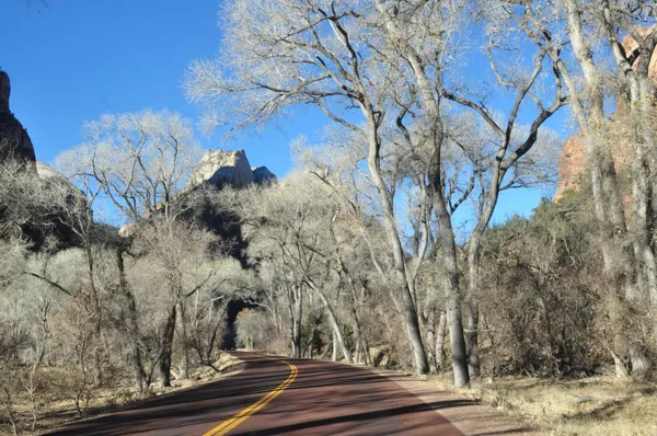 Zion National Park photo 219