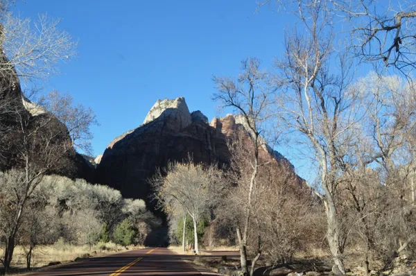 Zion National Park photo 220