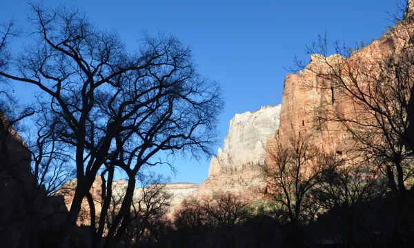 Zion National Park photo 221