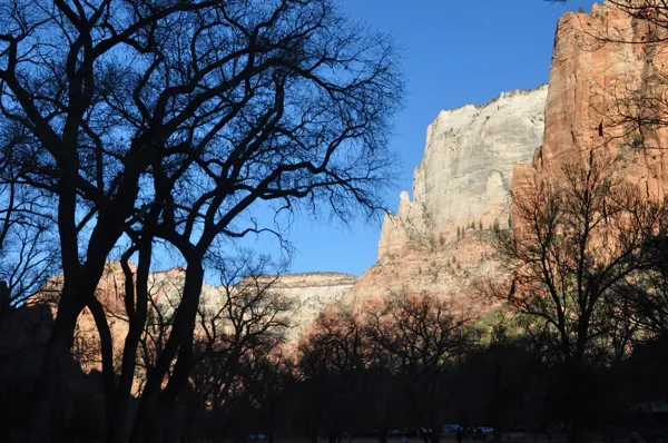 Zion National Park photo 222