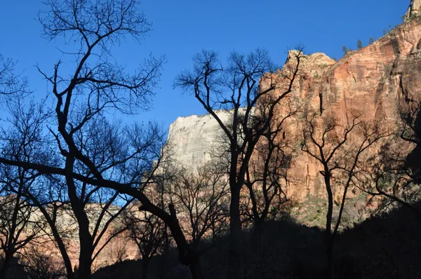 Zion National Park photo 228