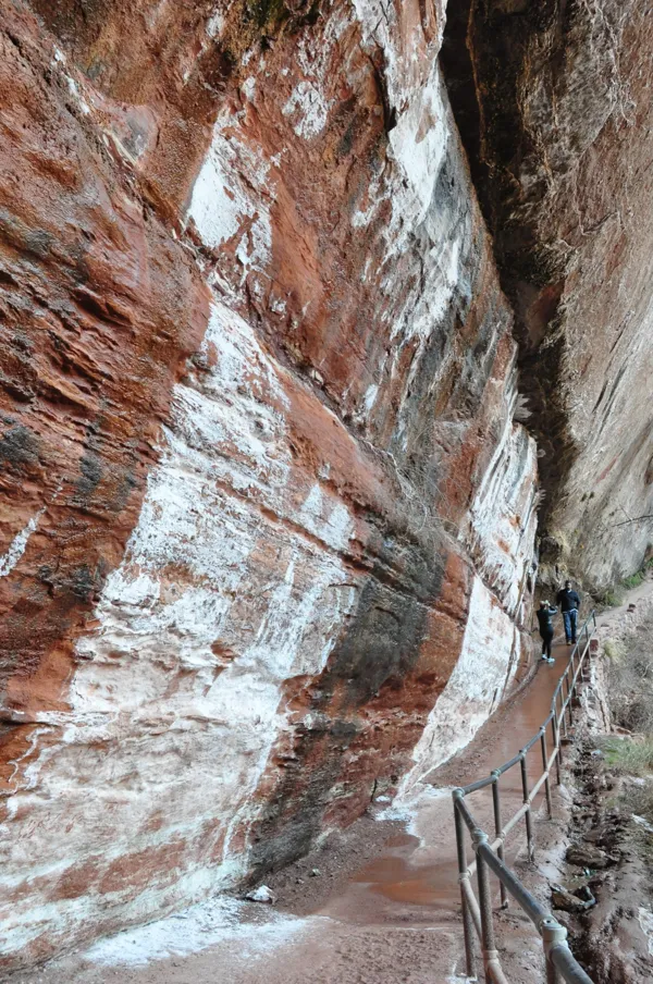 Zion National Park photo 230