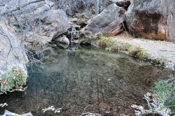 Zion National Park photo 232