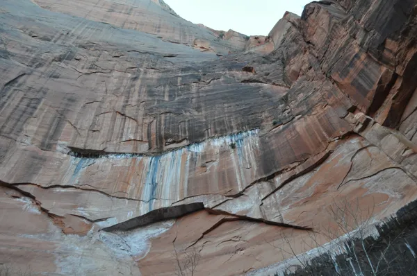 Zion National Park photo 234