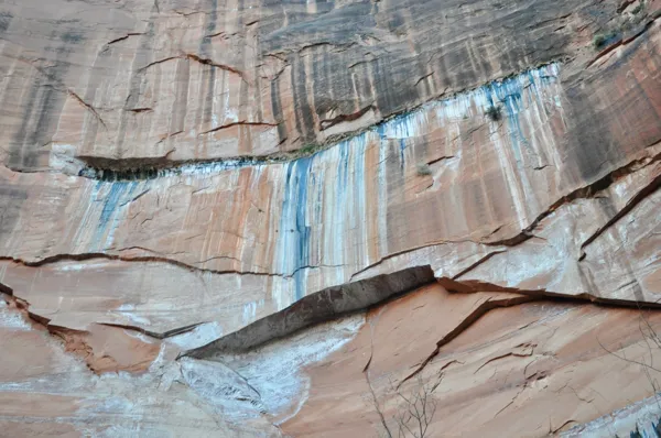 Zion National Park photo 235