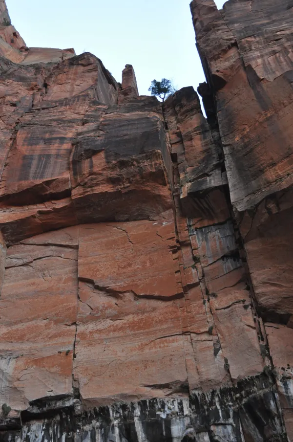 Zion National Park photo 236