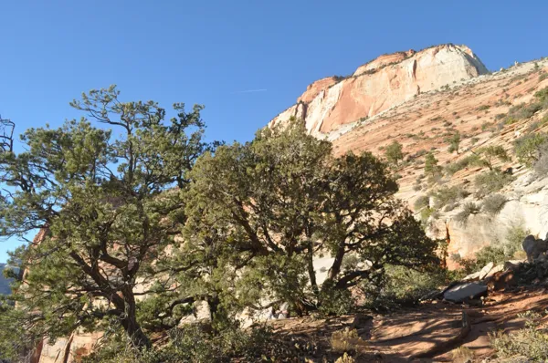 Zion National Park photo 237