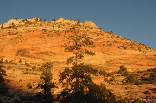 Zion National Park photo 241