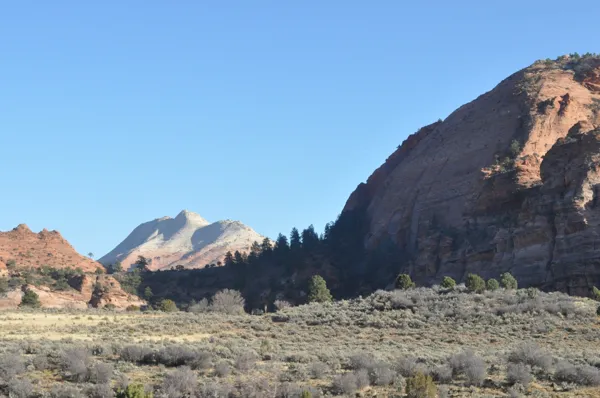 Zion National Park photo 242
