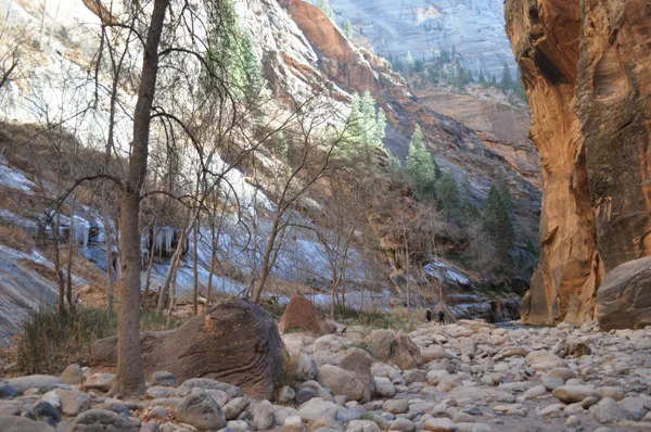 Zion National Park photo 249