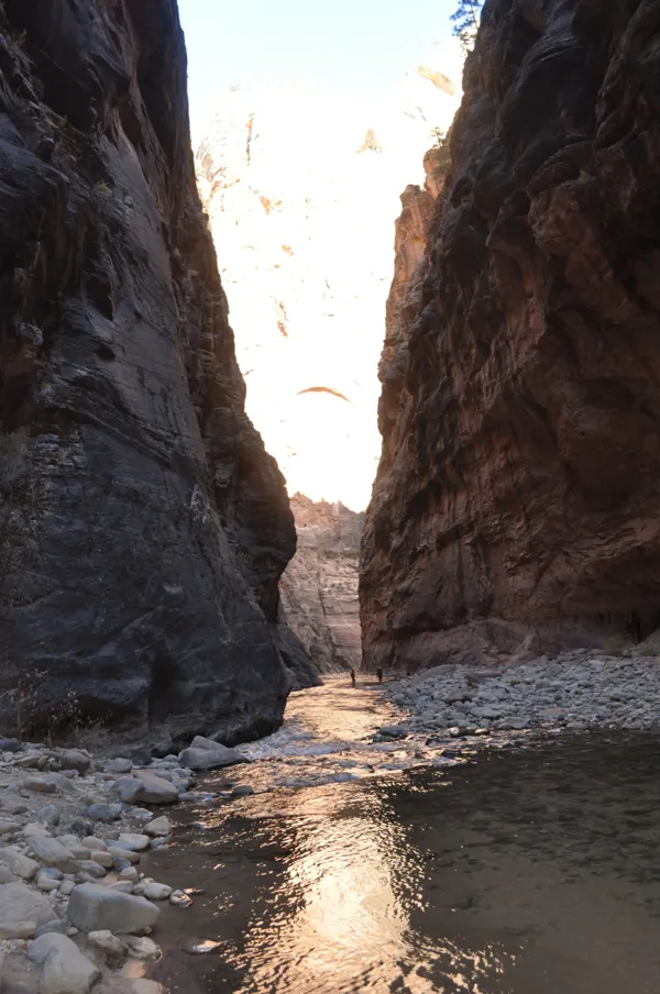 Zion National Park photo 250