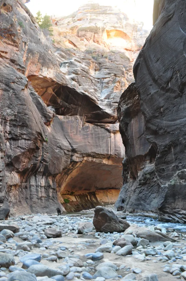 Zion National Park photo 253