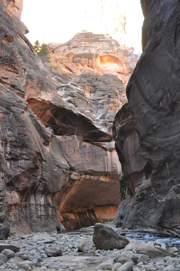 Zion National Park photo 254