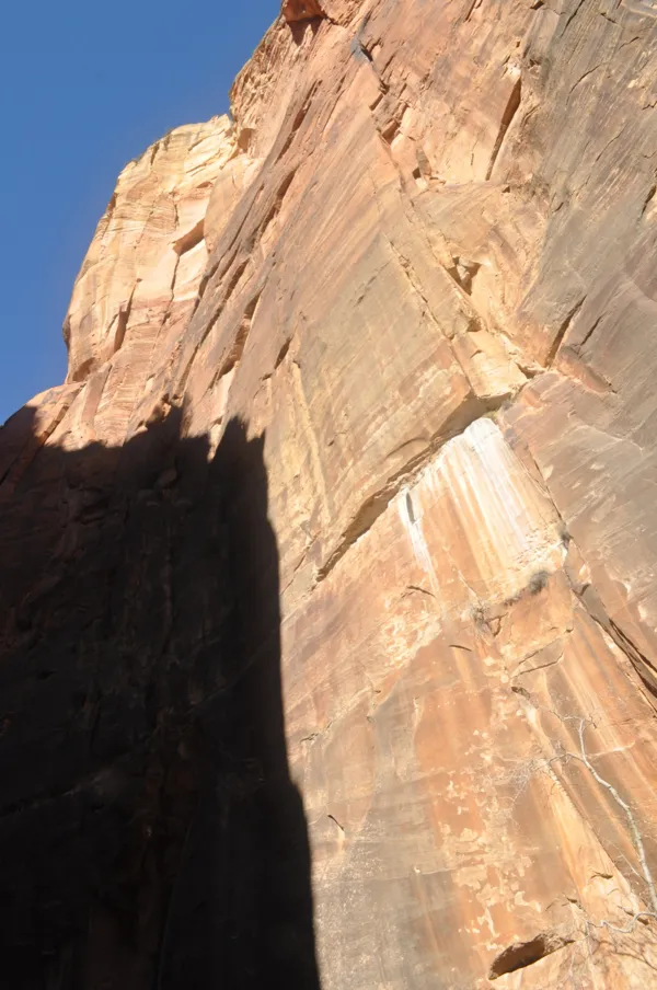 Zion National Park photo 262
