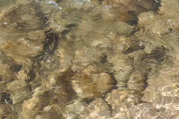 Zion National Park photo 264