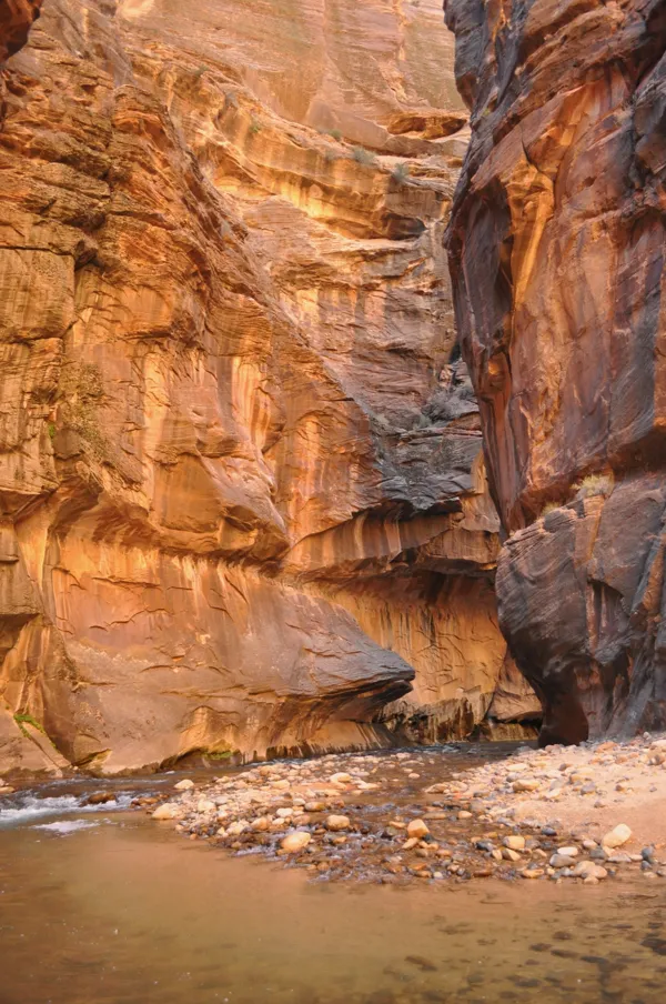 Zion National Park photo 266