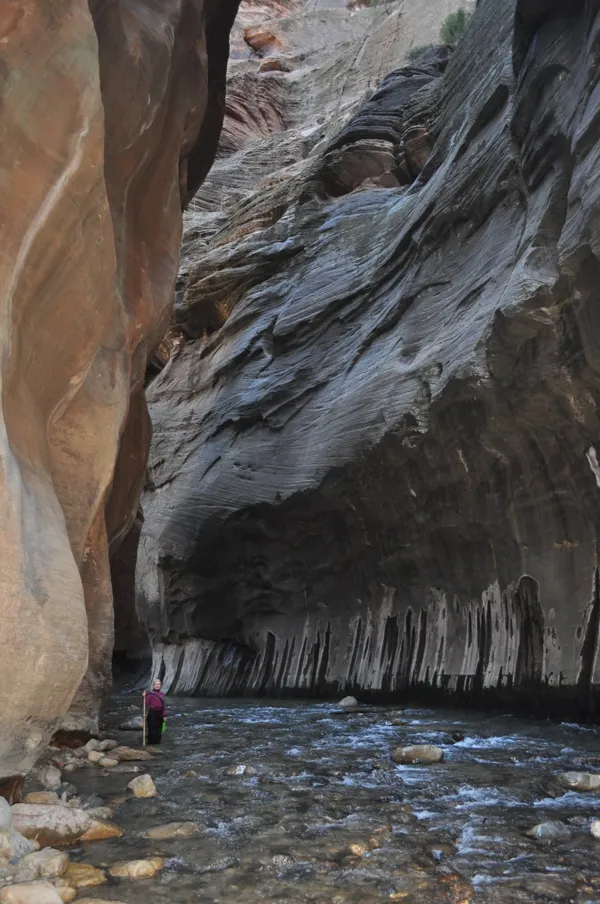 Zion National Park photo 270