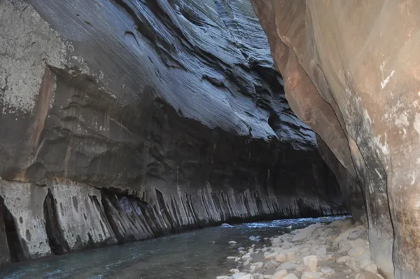 Zion National Park photo 271