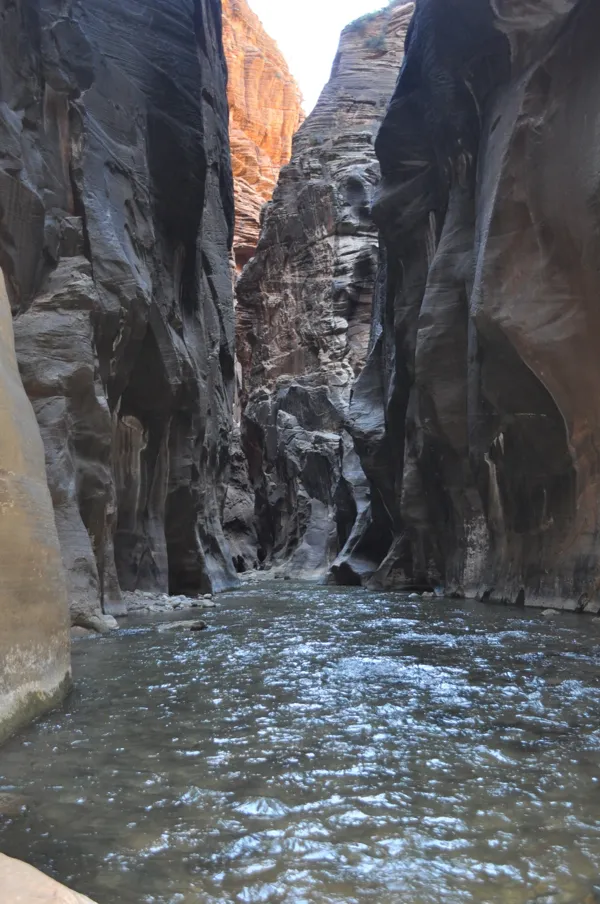 Zion National Park photo 273
