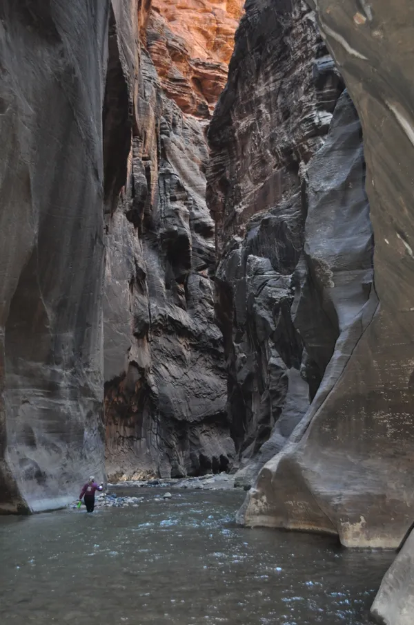Zion National Park photo 274