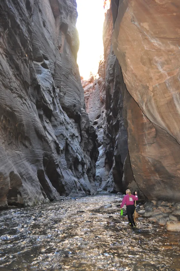 Zion National Park photo 275
