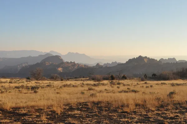 Zion National Park photo 276