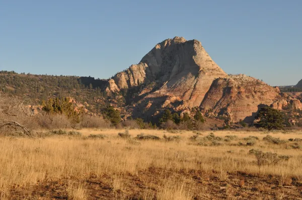 Zion National Park photo 277